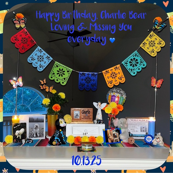 In Loving Memory of my sweet Boy…  💙Charlie - Picture 1 of 16